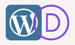 wordpress-divi-theme