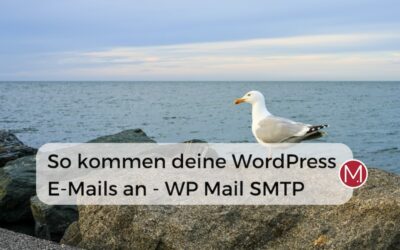 Plugin WP Mail SMTP richtig einrichten – und deine WordPress E-Mails kommen an!