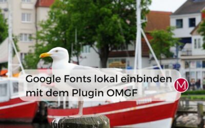 Google Fonts lokal einbinden – mit dem Plugin OMGF