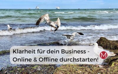 Online Business aufbauen: Schritt-für-Schritt mit meinem VHS-Kurs