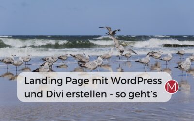 Landing Page mit Divi erstellen – so geht’s in wenigen Schritten